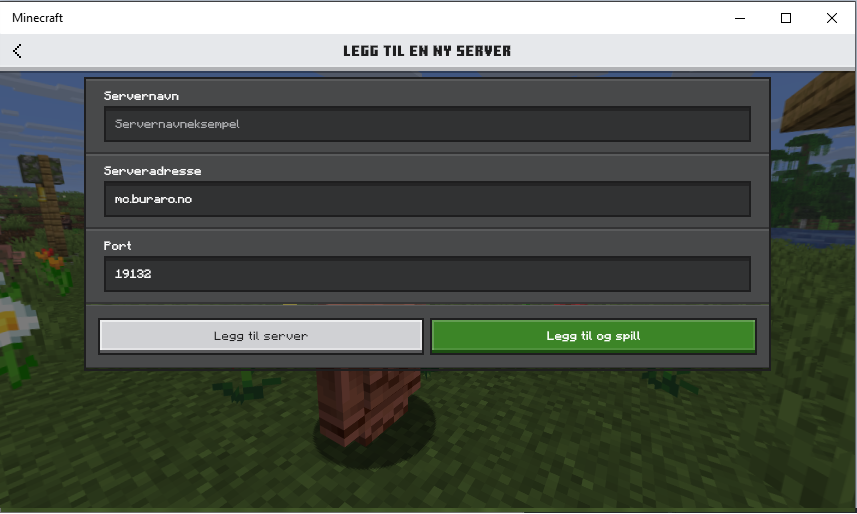 Hvordan koble til Bedrock